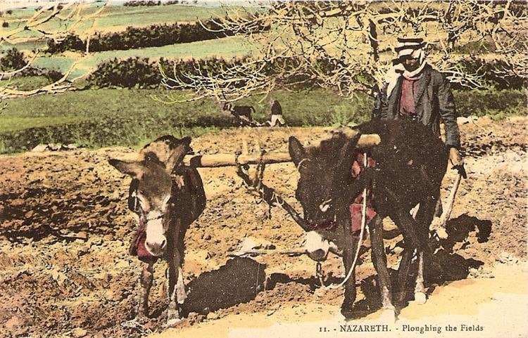 Ploughing the Field, Nazareth — Karimeh Abbud