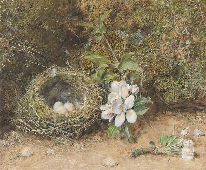 Bird's nest with sprays of apple blossoms — William Henry Hunt