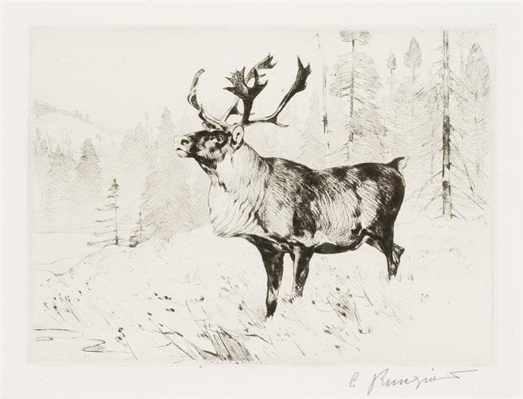 Woodland Stag — Carl Rungius