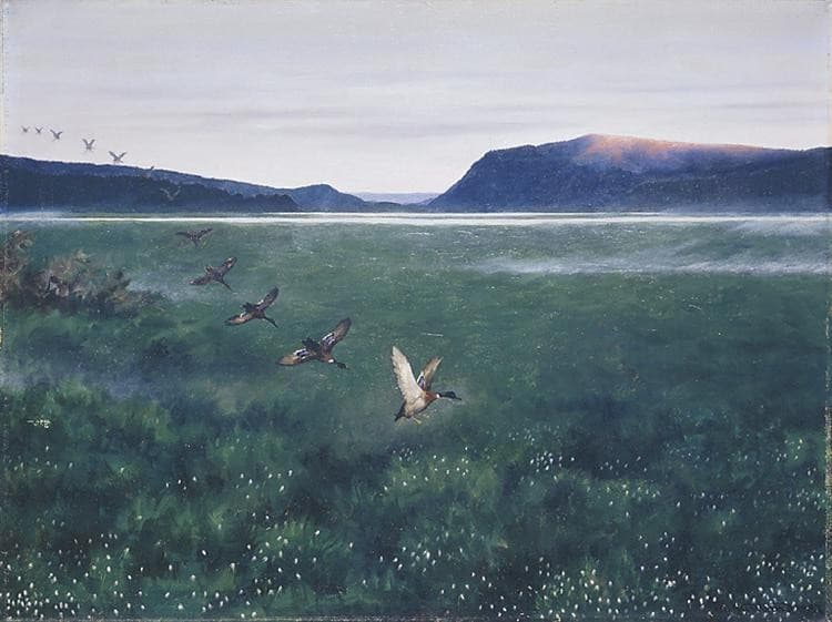 The 12 wild ducks 12 villender — Theodor Kittelsen
