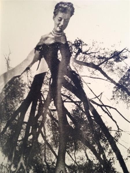 The Walking Tree — Maurice Tabard