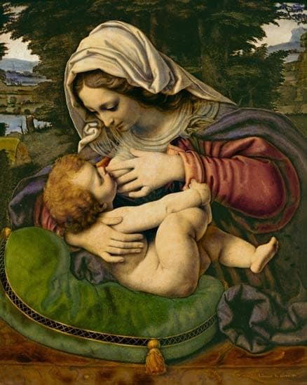 The Virgin of the Green Cushion — Andrea Solari