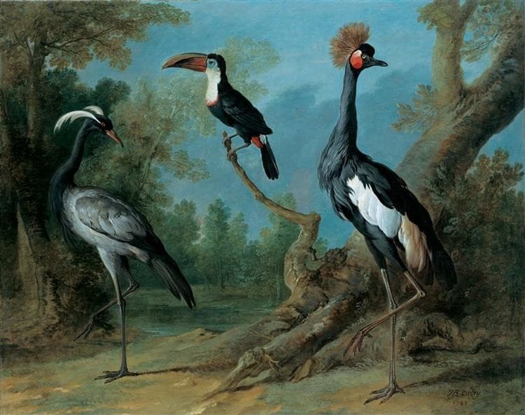 Demoiselle Crane, Toucan, and Tufted Crane — Jean-Baptiste Oudry