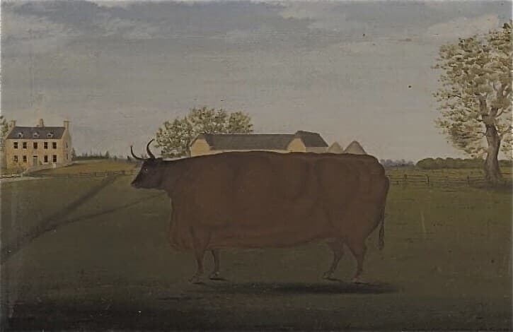 Painting of a Prize Cow in a Field — John Bradley