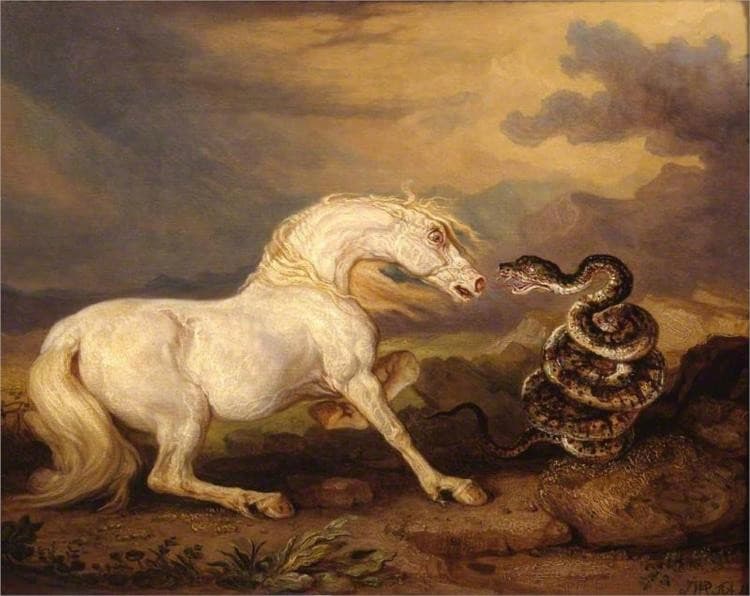 The Moment — James Ward