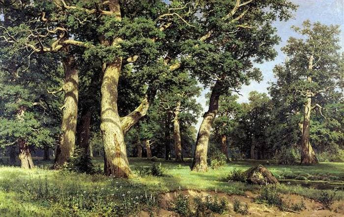 Oak Grove — Ivan Shishkin