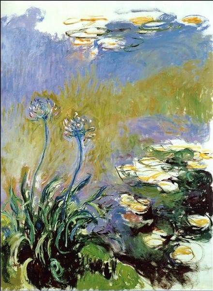 Agapanthus — Claude Monet