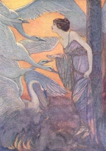 Illustration of Six Swans of Grimm's Fairy Tales — Elenore Abbott