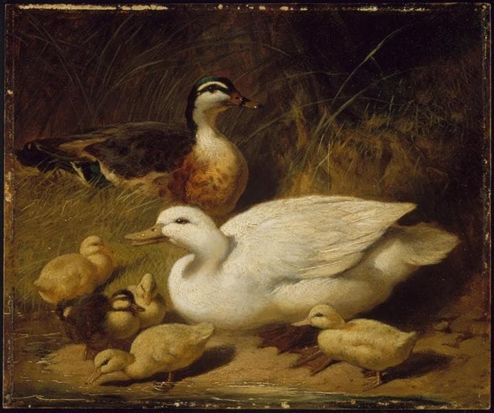 Ducks and Ducklings — John Frederick Herring Sr.