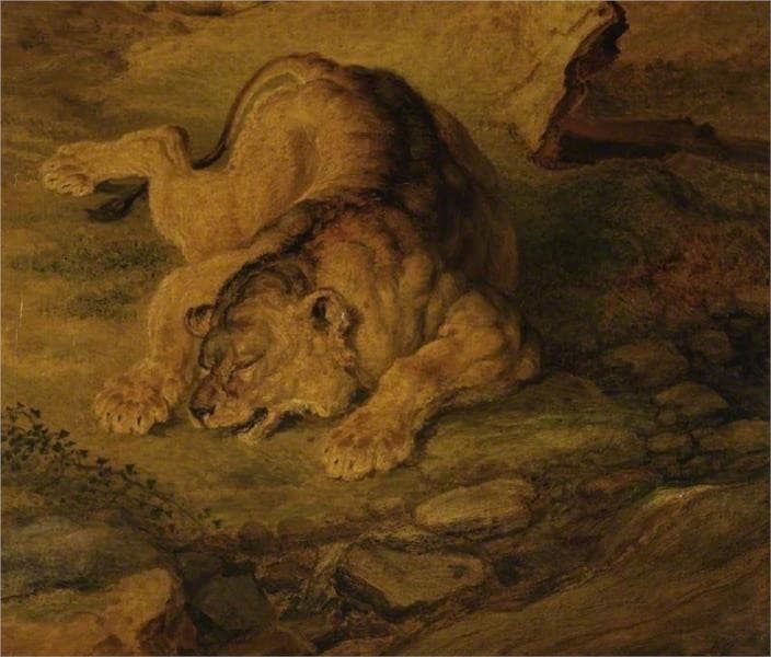 Sleeping Lioness — James Ward