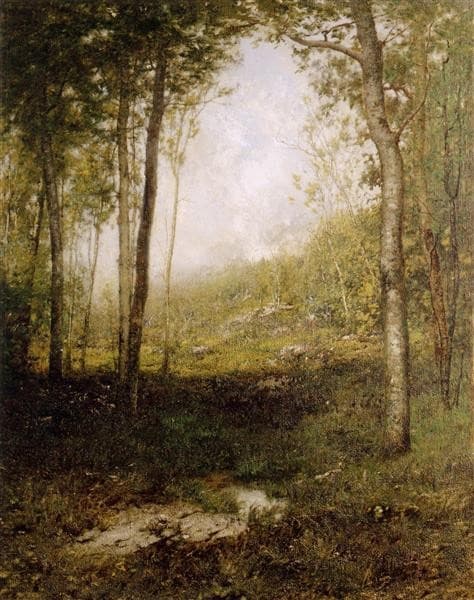 Forenoon In the Adirondacks — Alexander Helwig Wyant