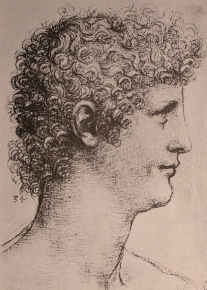Drawing of Salai — Leonardo da Vinci