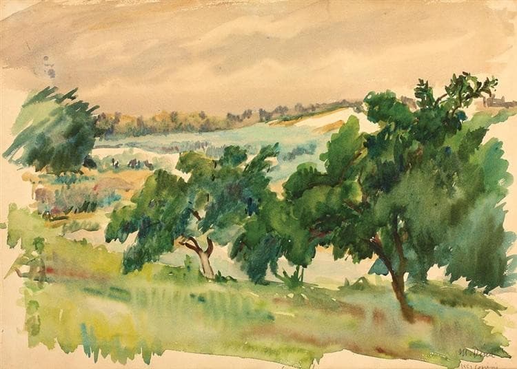 Spring Landscape — Medi Wechsler Dinu