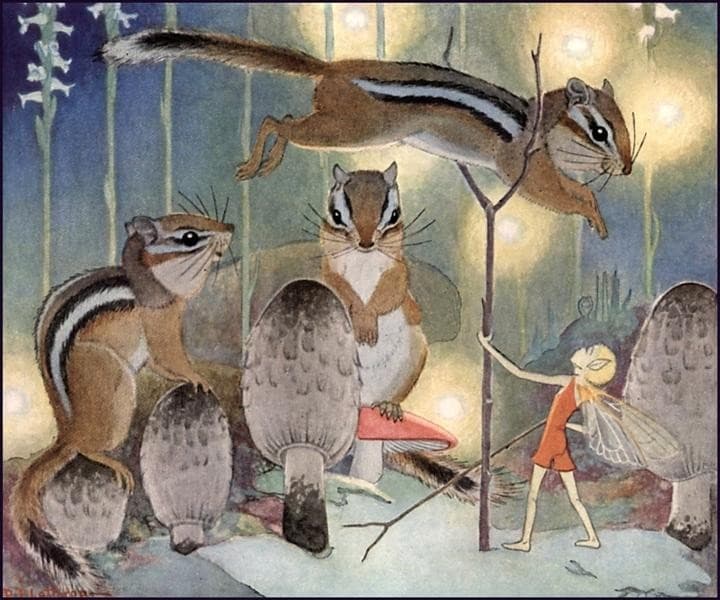 The Fairy Circus — Dorothy Lathrop