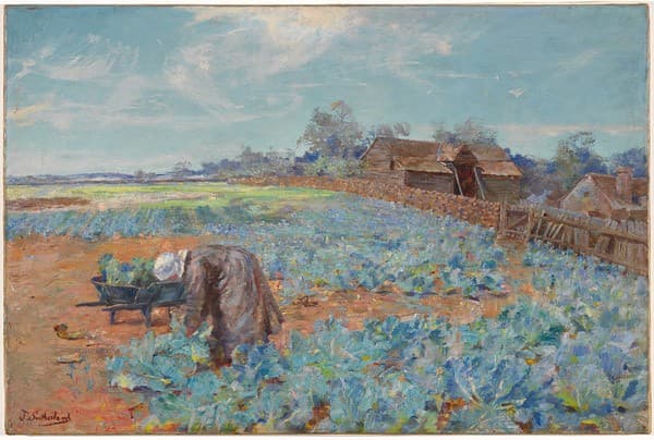 A Cabbage Garden — Jane Sutherland