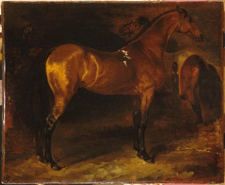 Spanish horse in a stable — Théodore Géricault