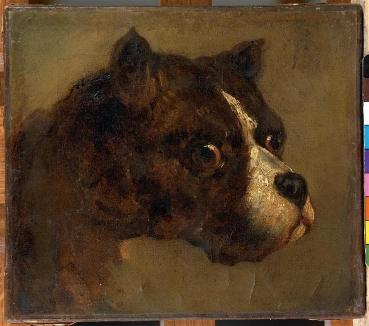 The head of bulldog — Théodore Géricault