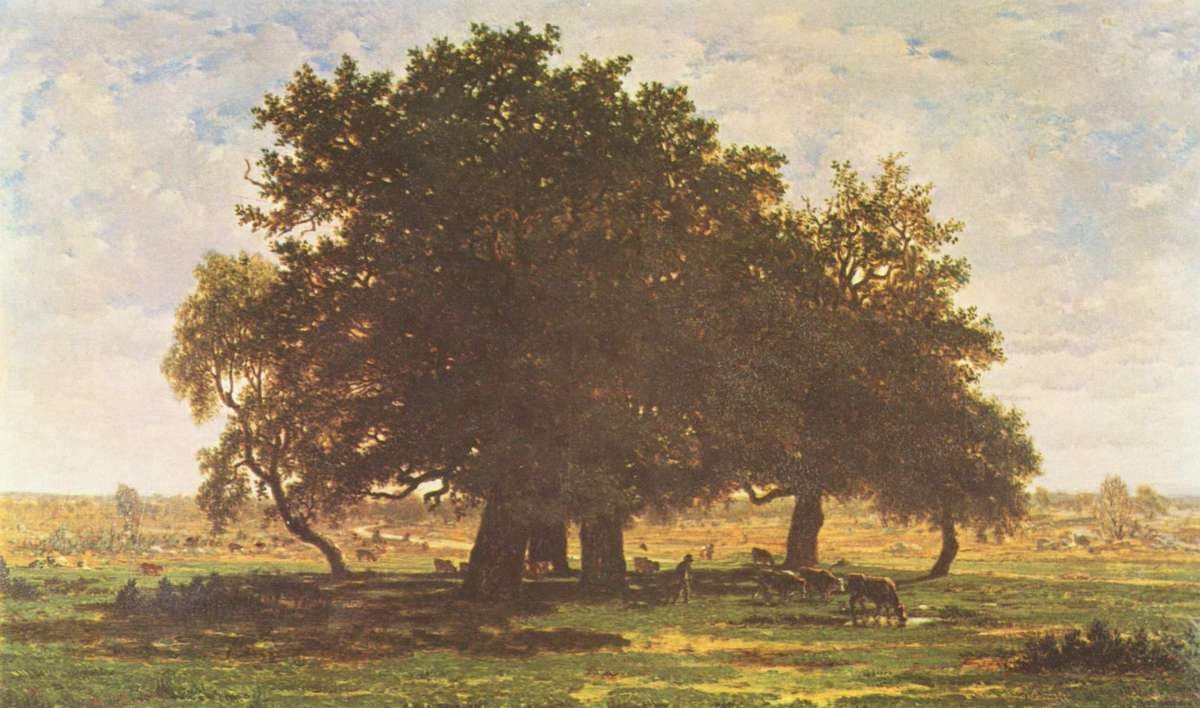 Holm Oaks, Apremont — Theodore Rousseau