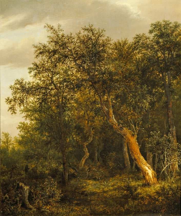 Entrance to a Wood — Jacob van Ruisdael