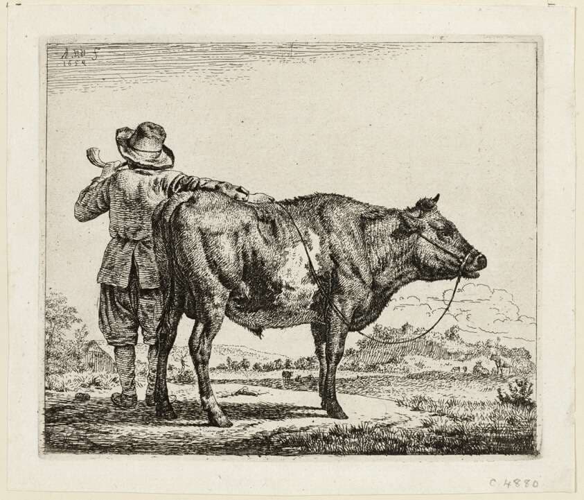 The Cowherd and the Bull — Adriaen van de Velde