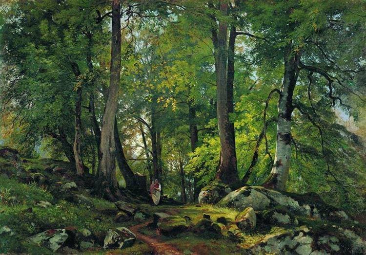 Буковый лес в Швейцарии — Ivan Shishkin
