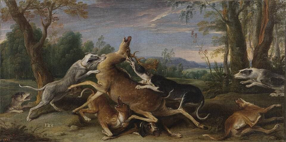 Caza de venado — Frans Snyders