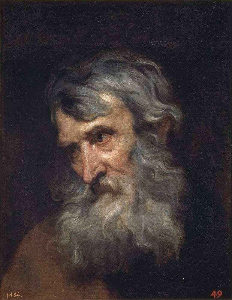 Cabeza de anciano — Anton van Dyck