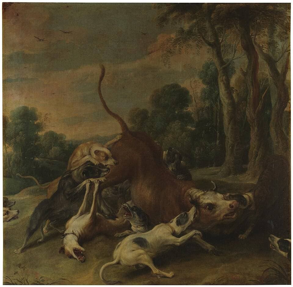 Toro rendido por perros — Frans Snyders
