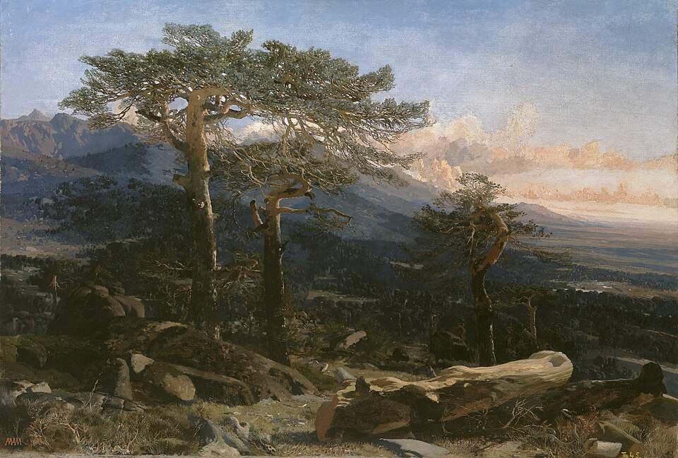 Un paisaje del Guadarrama — Martín Rico y Ortega