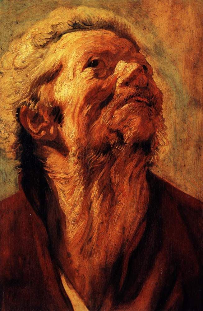 Study of the head of Abraham Grapheus — Jacob Jordaens