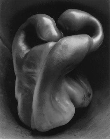Pepper No. 30 — Edward Weston