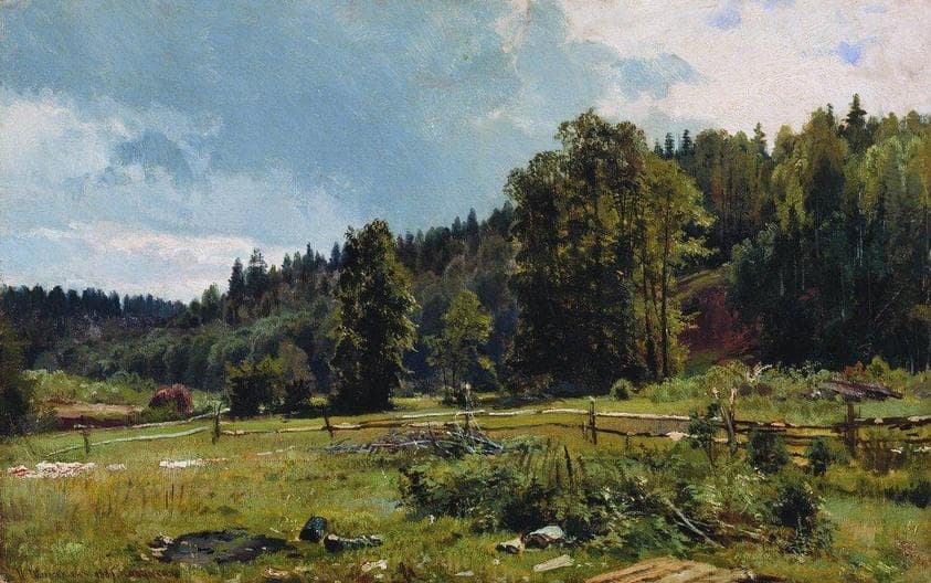 Meadow at the forest edge. Siverskaya — Ivan Shishkin