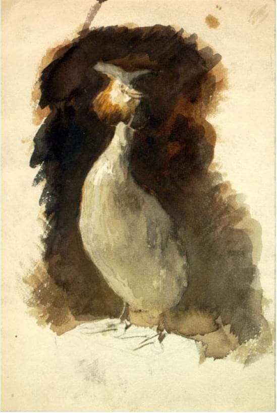 Stuffed grouse — Nicholas Roerich