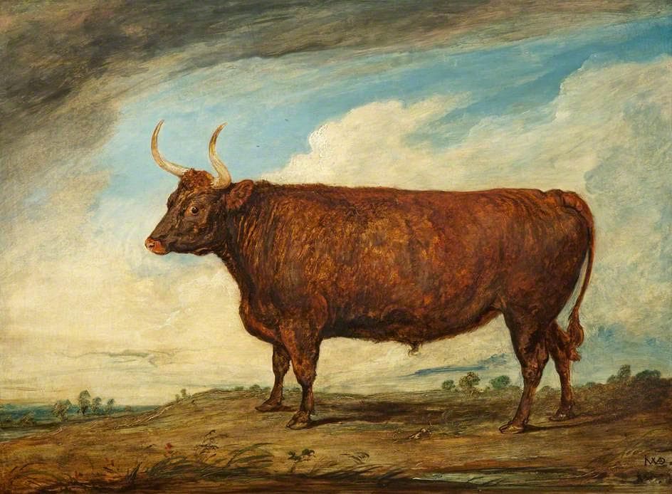 The Devonshire Ox — James Ward