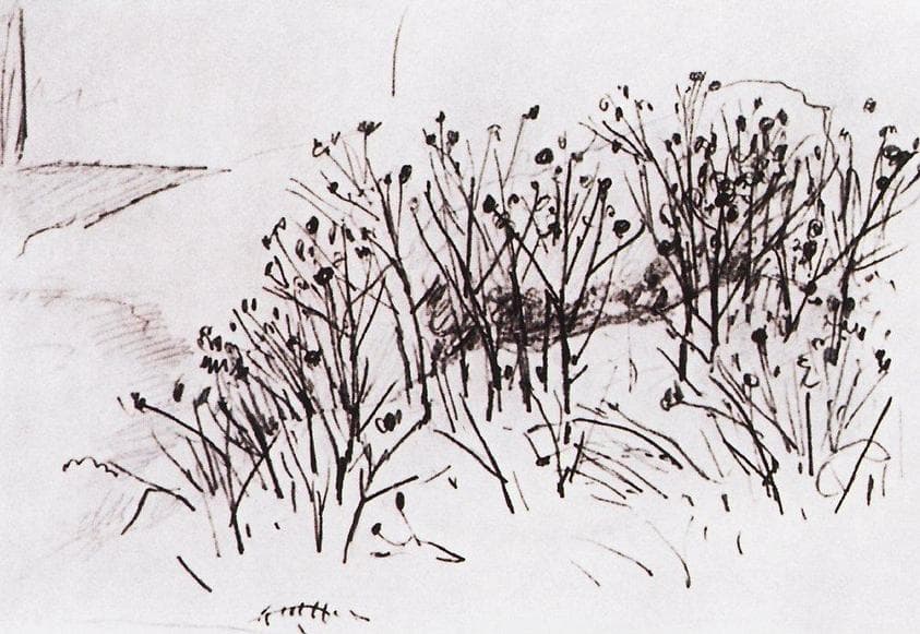 Study — Ivan Shishkin