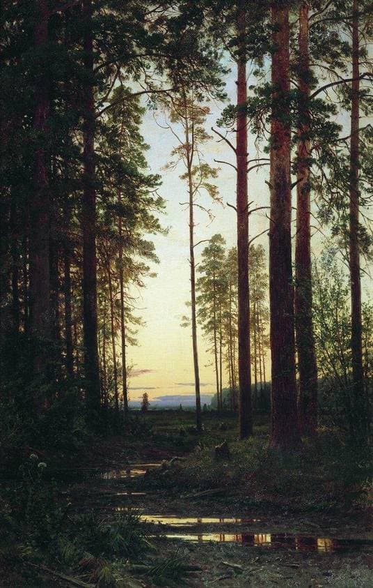 Twilight — Ivan Shishkin