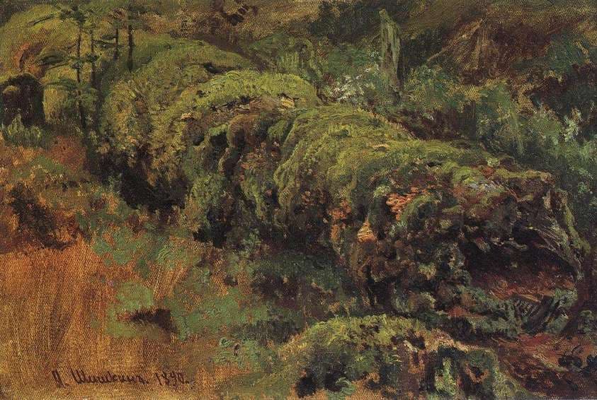 Rotten wood, covered with moss — Ivan Shishkin