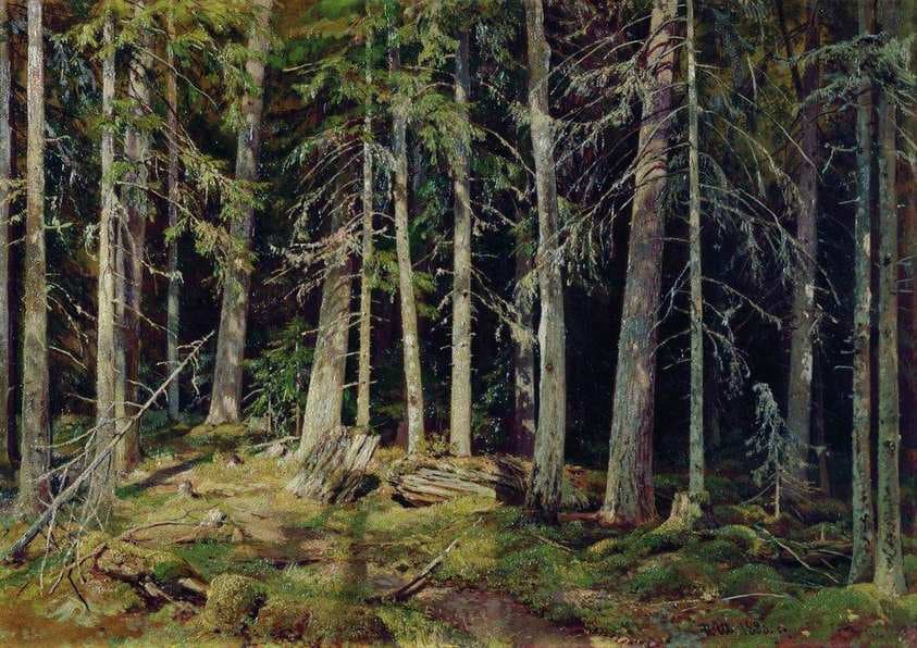 Forest. Mounds — Ivan Shishkin