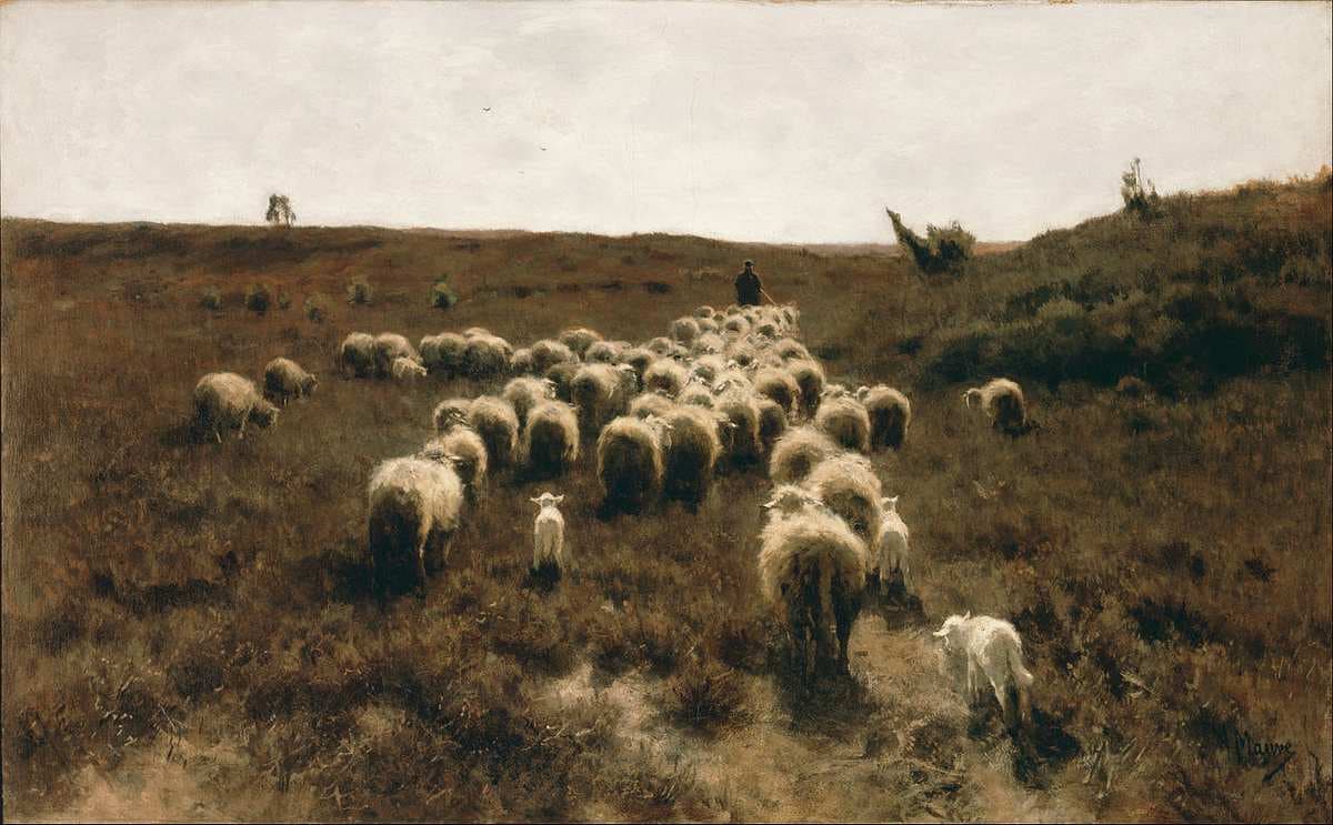 The Return of the Flock, Laren — Anton Mauve