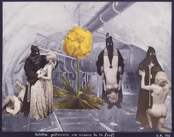 Initiation préliminaire aux arcanes de la forêt (First Initiation to the Secrets of the Forest) — Georges Hugnet