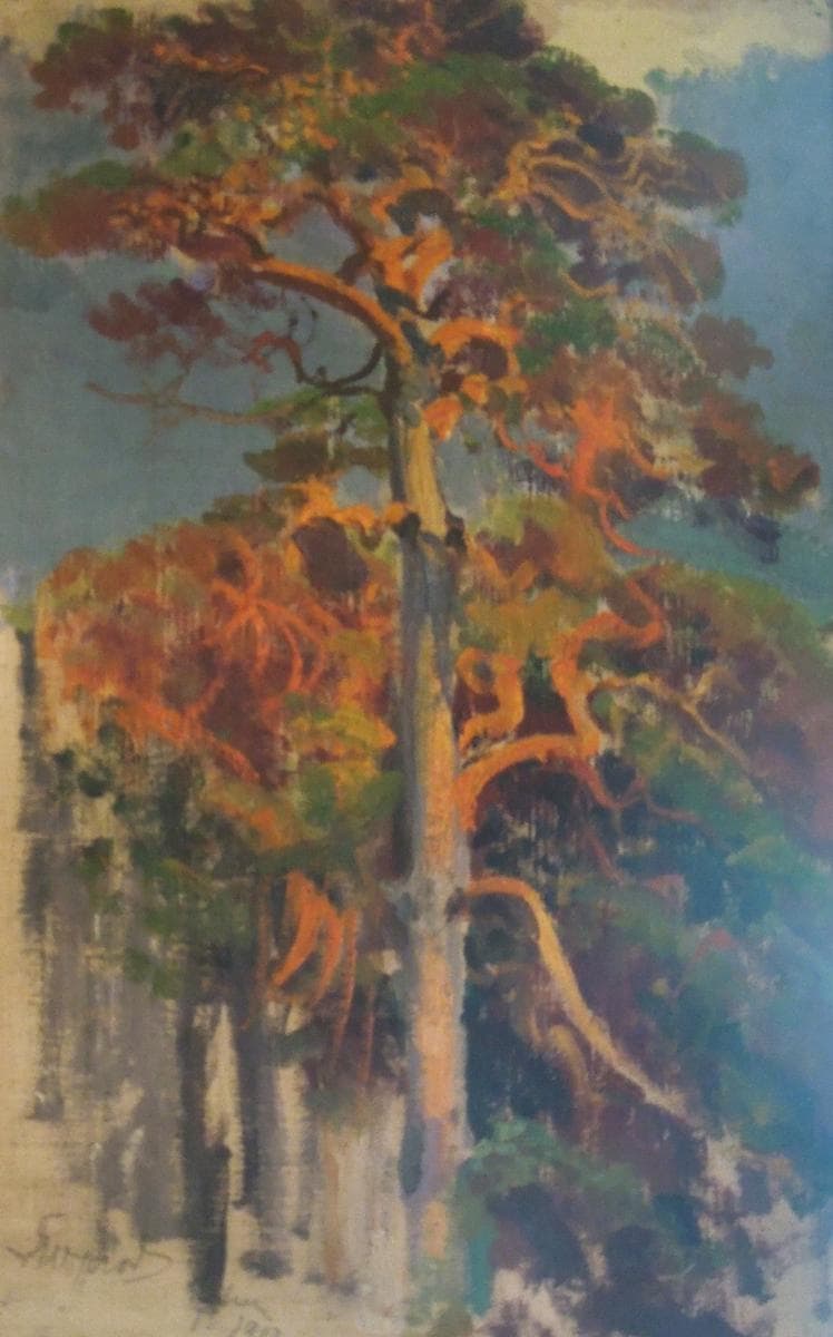 Pines — Leon Wyczółkowski