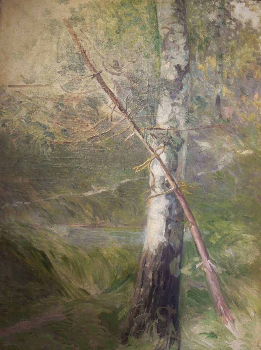 Birch in Gościeradz — Leon Wyczółkowski