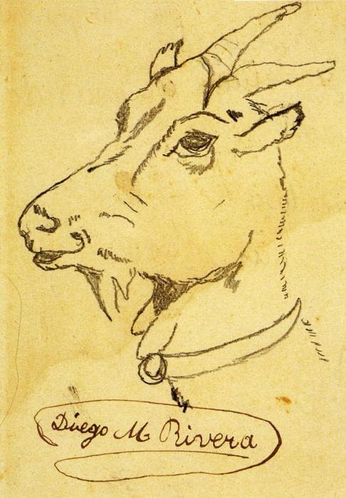 Head of a Goat — Diego Rivera