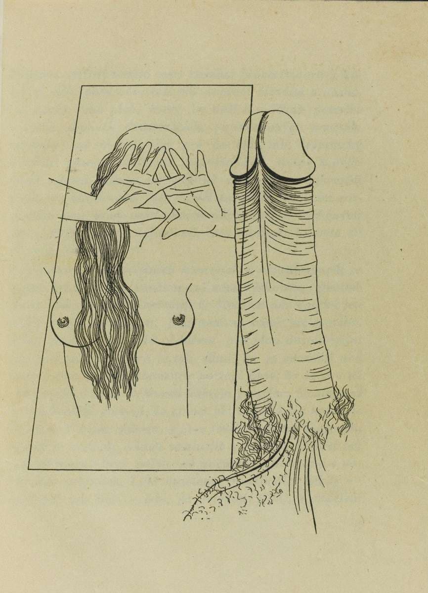 Erotic Composition — Toyen