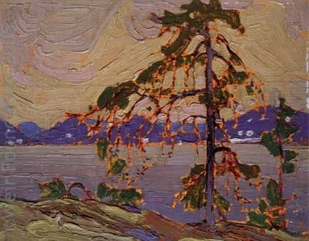 Sketch for The Jack Pine — Tom Thomson