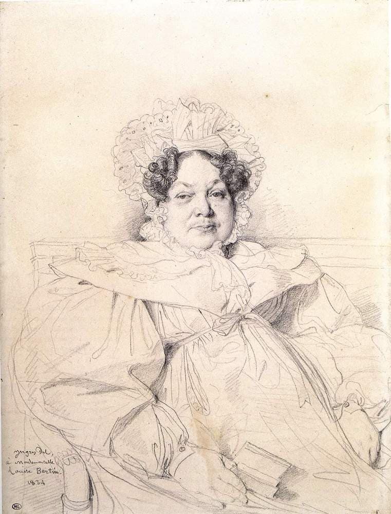 Madame Louis-Francois Bertin — Jean-Auguste-Dominique Ingres