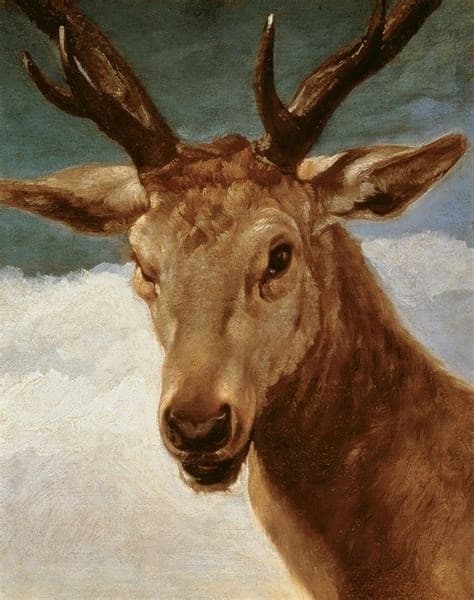 Head of a Stag — Diego Velázquez