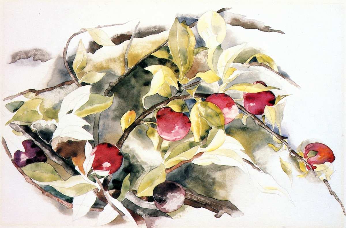 Plums — Charles Demuth