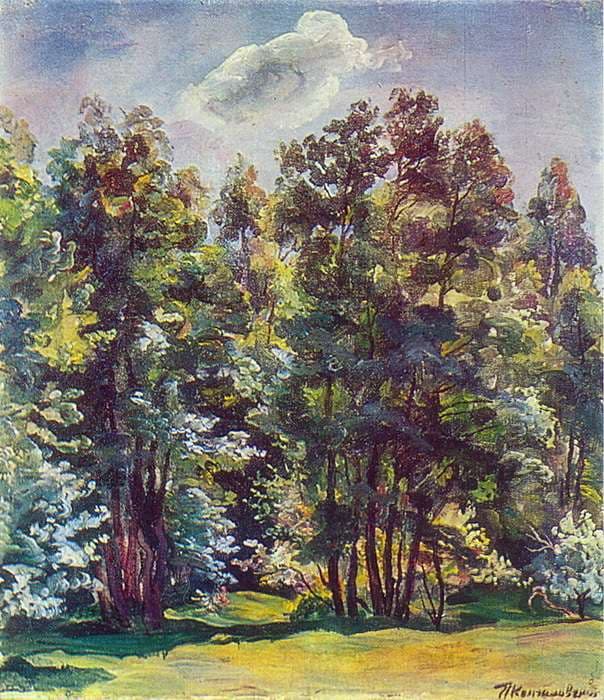Alder against the sun — Pyotr Konchalovsky