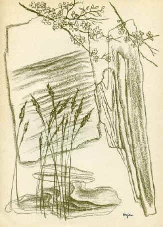 The Reeds — Toyen